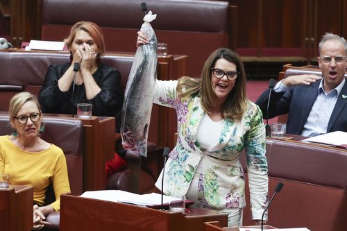 'Rotten, stinking': Shocking act in parliament protesting salmon industry lifeline