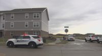 'Shocked' neighbors speak out after Champaign shooting in broad daylight