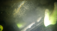 The underwater remains of a car believed to belong to the Martin family, who disappeared in 1958. (Archer Mayo)