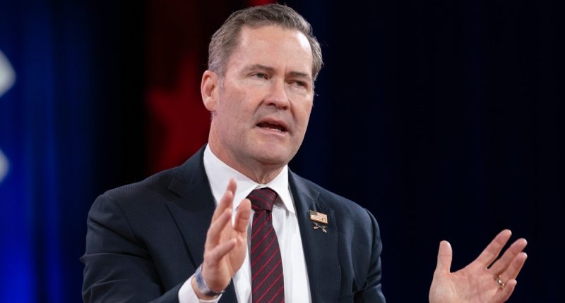 'Somebody has to go down': Trump allies take aim at Michael Waltz