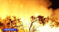 'Wall of flames': Caravan park evacuated as bushfire raged