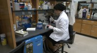 $2.8M grant awarded for study on gum disease and Alzheimer's link