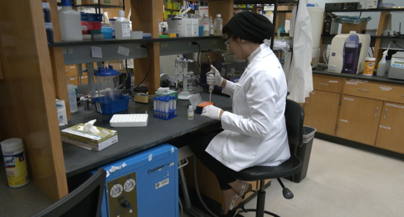 $2.8M grant awarded for study on gum disease and Alzheimer's link