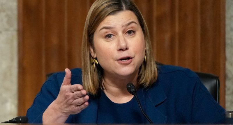 A first-term Michigan senator is set to deliver the Democratic response to Trump's speech