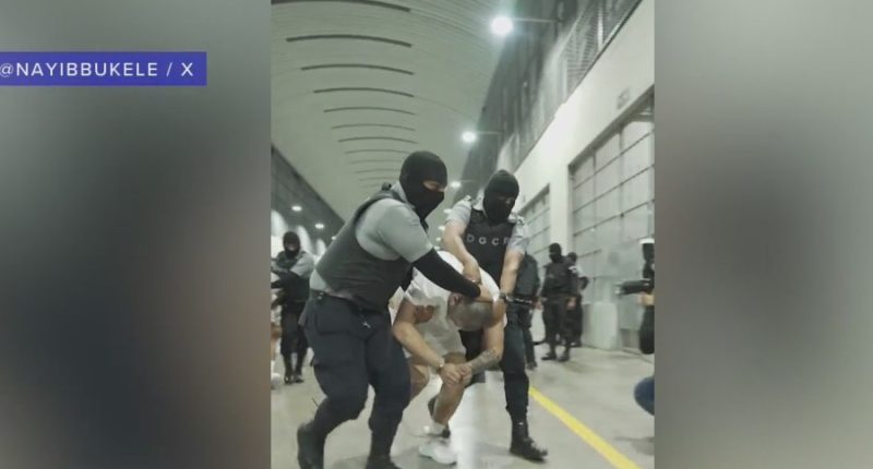 Accused gang members deported to El Salvador get harsh reception
