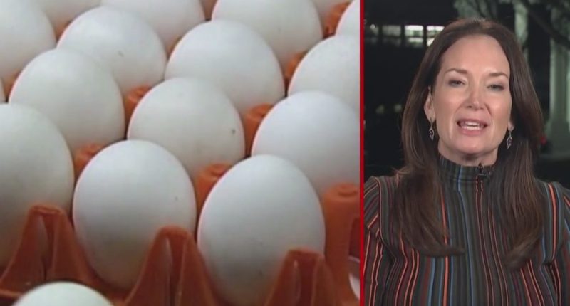 Agriculture Sec. Brooke Rollins: Here's how egg prices will slump