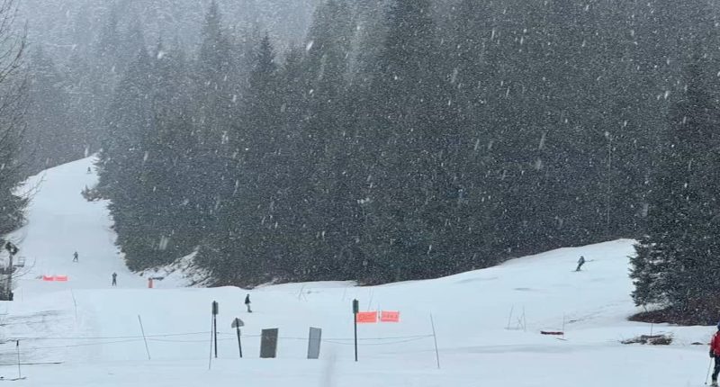 Alaskan avalanche buries, likely kills 3 skiers in Chugach Mountains near Girdwood, Anchorage, Alaska State Troopers say