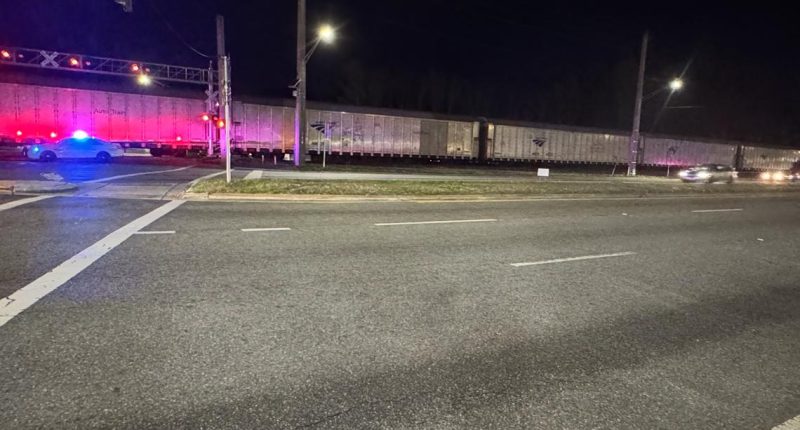 Amtrak train hit, killed pedestrian on Jacksonville's Westside, JFRD said