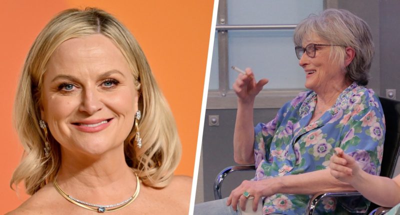 Amy Poehler reveals she shared a dressing room with Meryl Streep during 'SNL50'