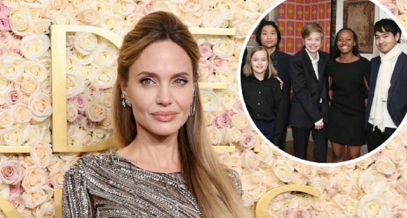 Angelina Jolie's Kids 'Pushing' Her to Celebrate 50th Birthday (EXCL)