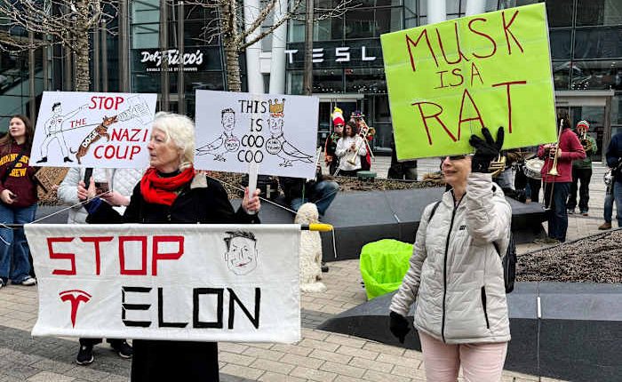 Anti-DOGE protests at Tesla stores target Elon Musk's bottom line