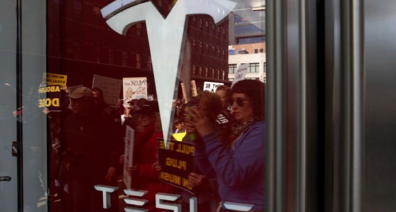 Anti-DOGE protests at Tesla stores target Elon Musk's bottom line