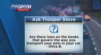 Are there laws that govern the way you transport pets in cars?