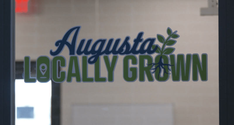 Augusta Locally Grown prioritizes sustainability amid Executive Director search