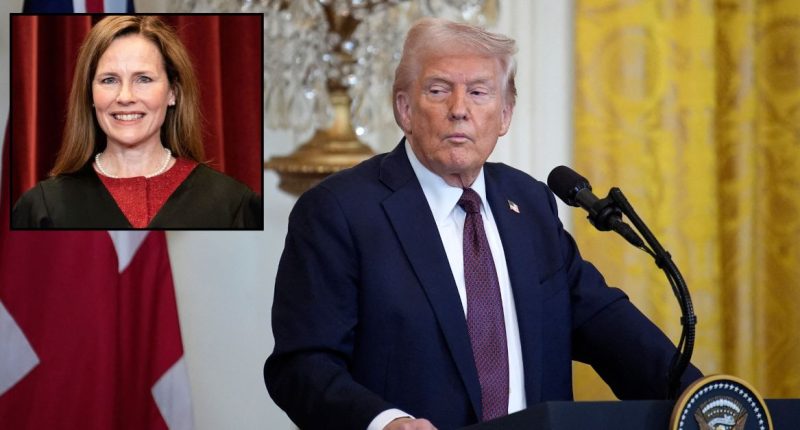 Barrett words thrown at SCOTUS in Trump funding freeze fight