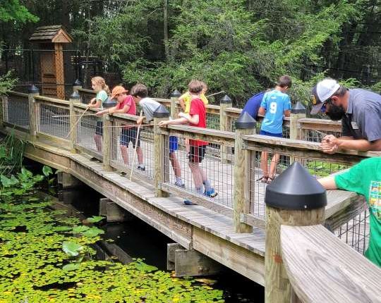 Bays Mountain Park Day Camp registration opens