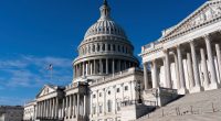 Bill to ban trans athletes from girls' and women's sports teams fails to advance in Senate