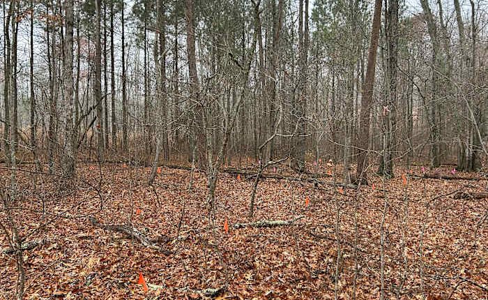 Black graves are being moved to make way for an industrial park, drawing a mix of emotions