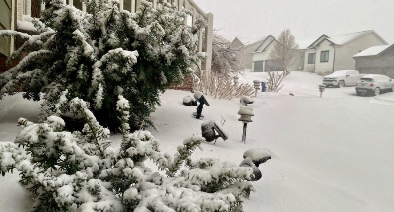 Blizzard conditions hit the Midwest while wildfires and tornadoes threaten Central US
