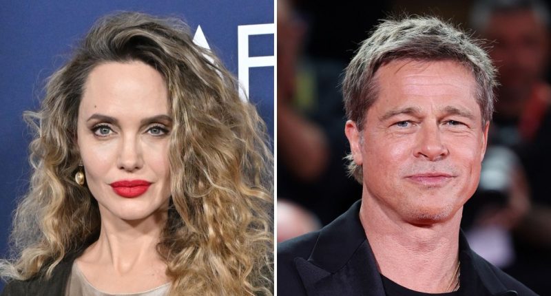 Brad Pitt a 'Headache' for Angelina Jolie and 6 Kids' Vacation (EXCL)