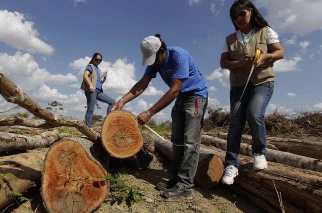 Brazil Is Hacking Down Protected Amazon Rainforest ... to Make Special Highway for UN Climate Summit