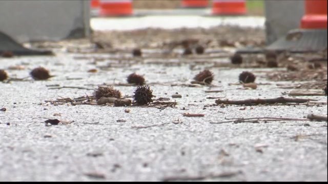 Bulloch County's storm recovery efforts could cost $28-million, officials say