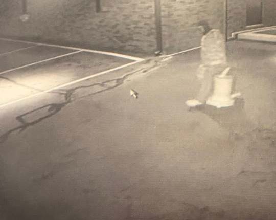 Carter County Sheriff's Office seeking tips after church theft