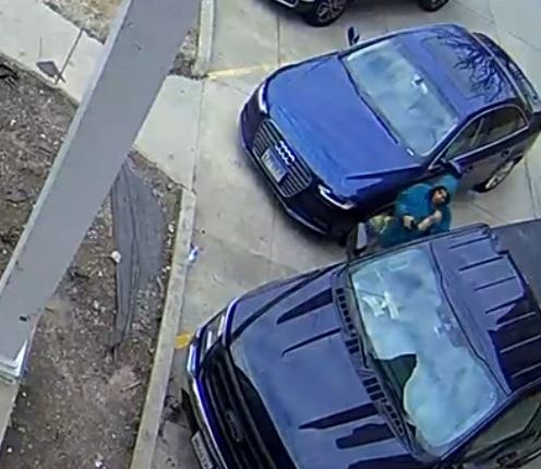 Champaign Co. Crime Stoppers seeking tips on female burglary suspect