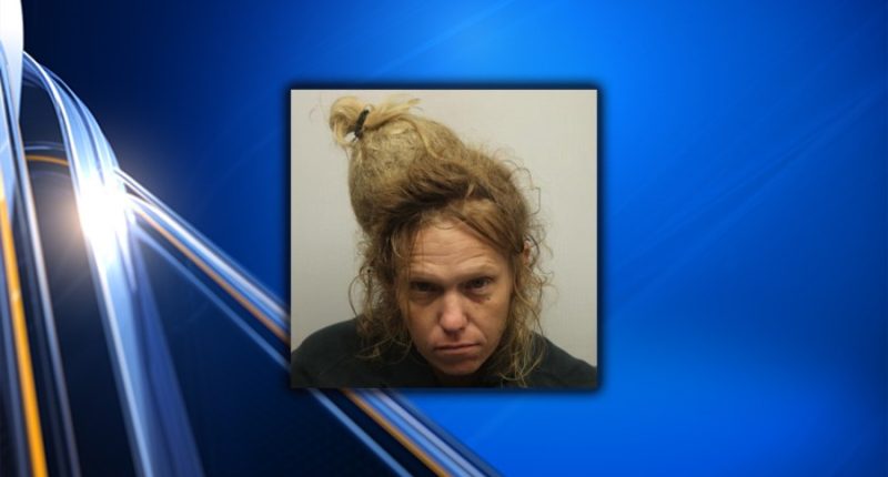 Chatham mother accused of killing baby pleads guilty to murder