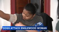 Chicago woman, dog injured after being attacked by pit bulls near West 60th Street, South Lowe Avenue in Englewood