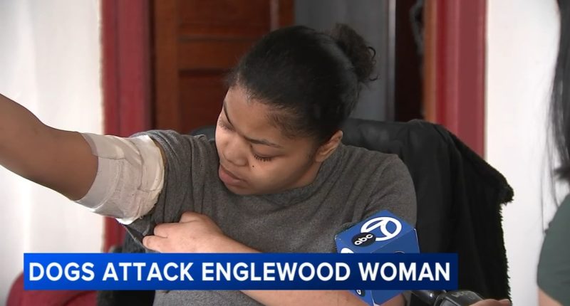 Chicago woman, dog injured after being attacked by pit bulls near West 60th Street, South Lowe Avenue in Englewood