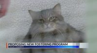 Coles Co. woman pushing to create foster program for animals