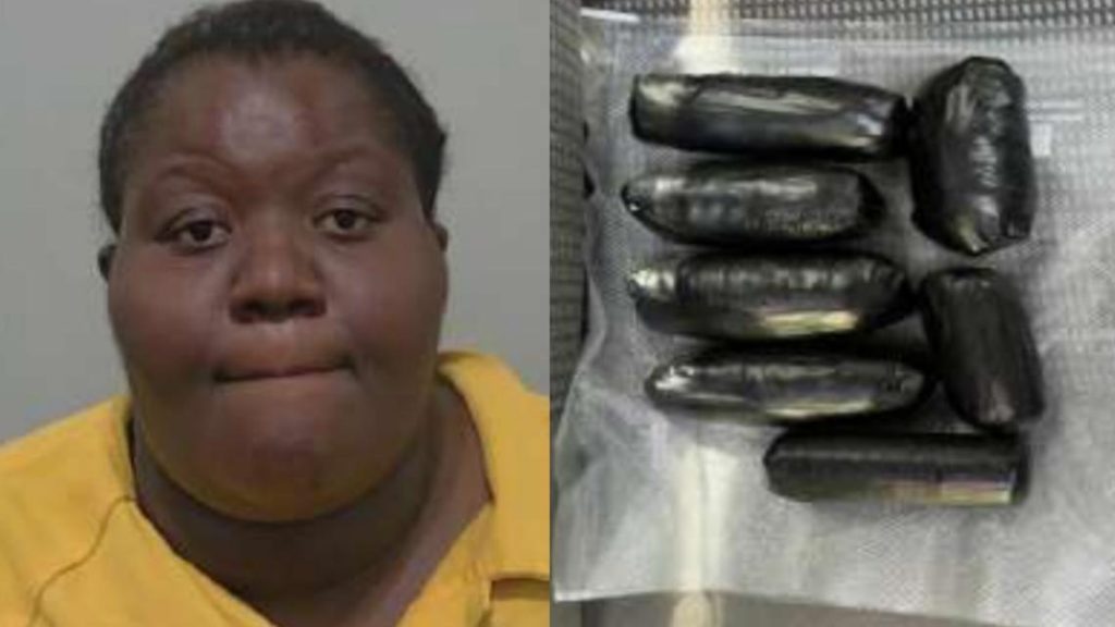 Corrections officer trainee accused of trying to smuggle drugs into Florida jail