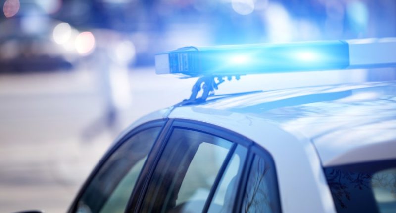 Crash suspect stole squad car, USPS postal truck: Officials