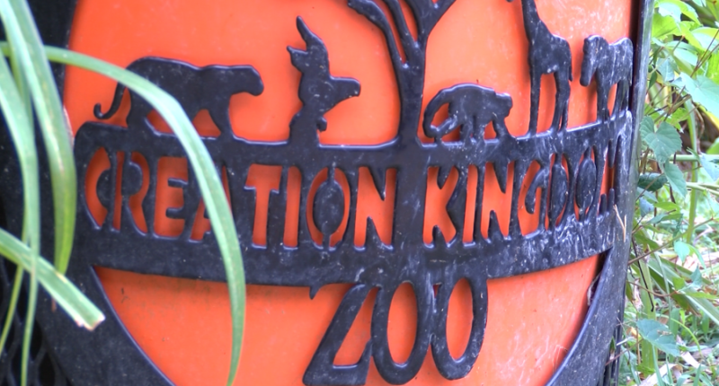 Creation Kingdom Zoo announces closure after 17 years