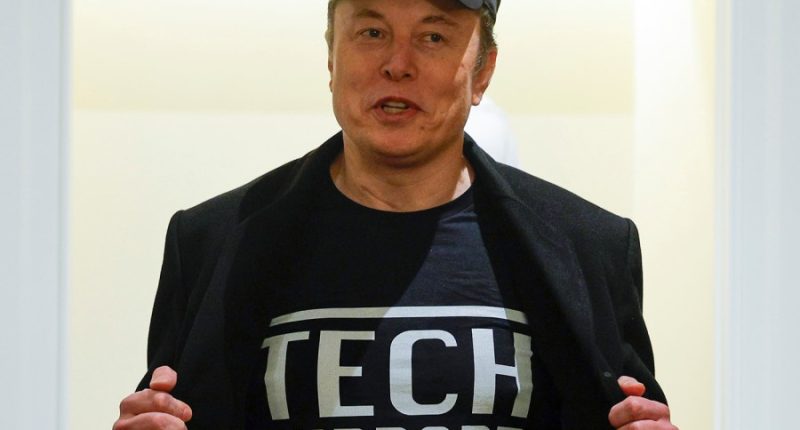 DOGE structure, authority emerge as biggest DC mystery under Trump  