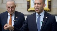 Democratic activists fueled anti-Trump protests at GOP town halls but also rage at their own party