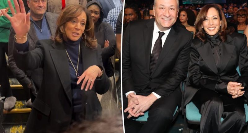 Democratic insiders complain Kamala Harris is ‘MIA’ after election: ‘Not the leadership the world needs’
