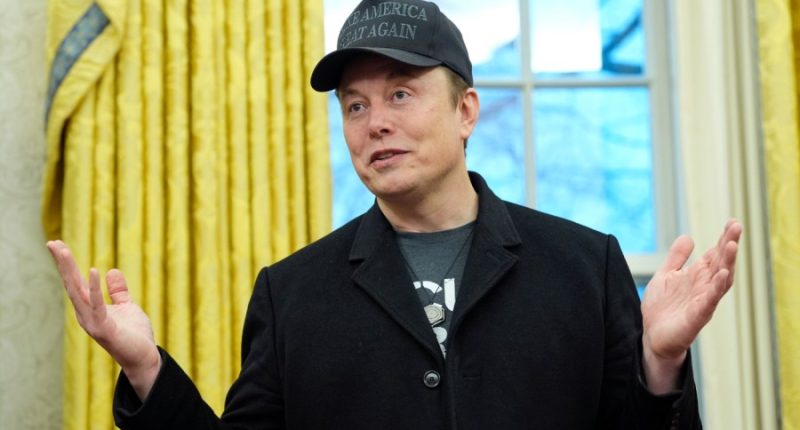 Democrats call for hearing with Musk on DOGE operations, funding