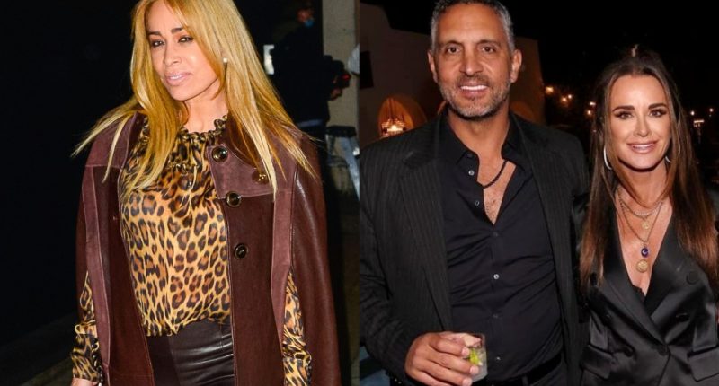 Faye Resnick Denies Leaking Kyle and Mauricio