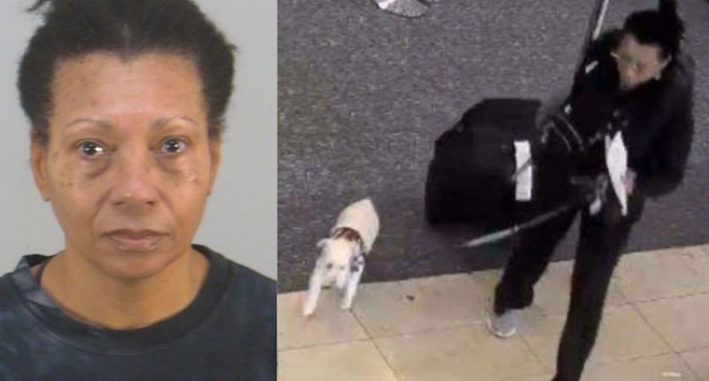 Dog drowned at Orlando airport before flight