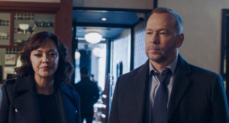 Donnie Wahlberg Was Asked If Maria Baez Will Appear in New Show ‘Boston Blue’: Here’s How He Responded