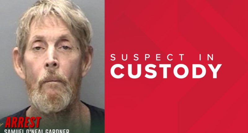 Driver seen pointing gun at vehicles, officers on I-95 in St. Johns County arrested