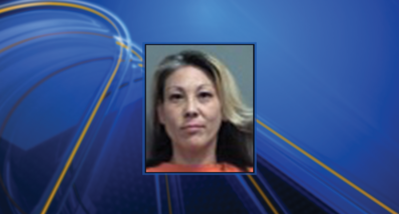 Effingham woman charged in death of 9 dogs, officials say