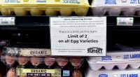 Egg prices hit record high in February amid bird flu impact