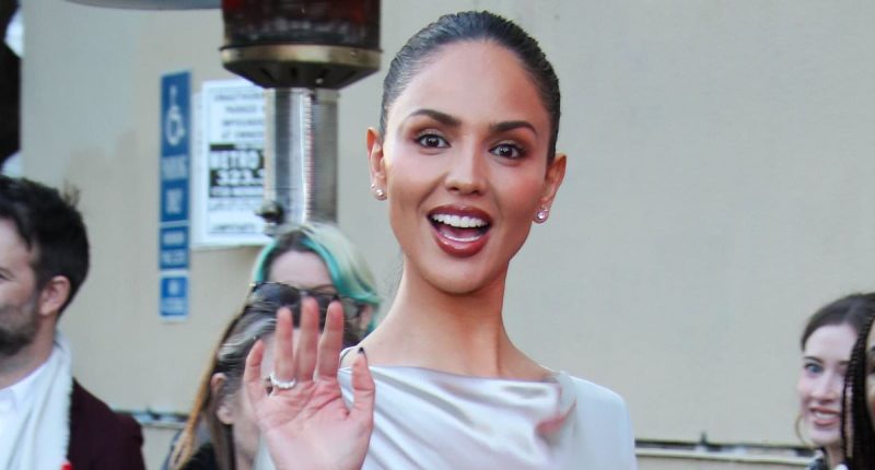 Eiza Gonzalez wows in a slinky silver gown at the Ash premiere in LA