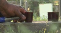 Family of Savannah deadly shooting victim holds vigil: 'He's not a perfect son, but he is a good son'