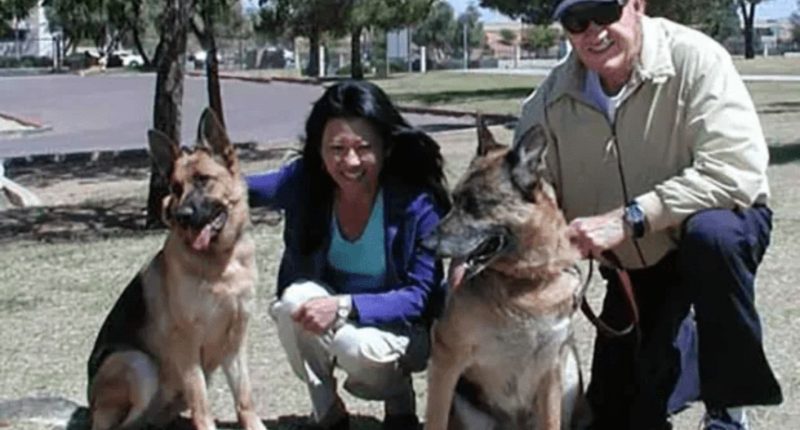 Fate of Gene Hackman’s two surviving dogs Bear & Nikki is revealed after star, wife & third pet mysteriously found dead