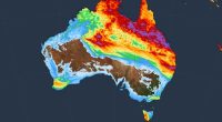 Flood alerts stretch across 3000km as more rain looms for Queensland