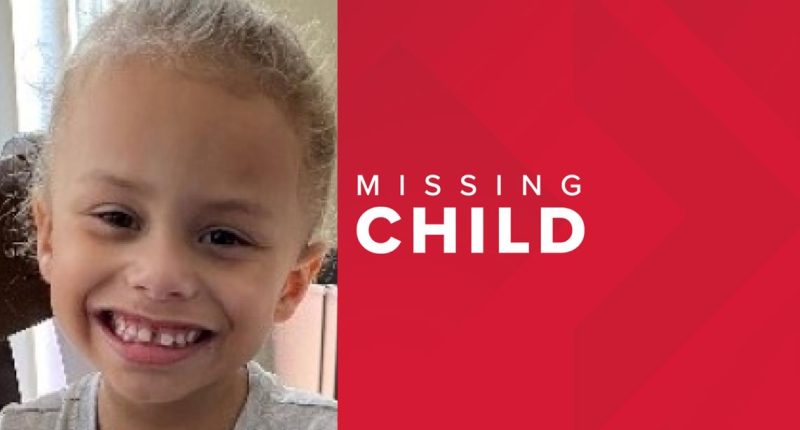 Florida Missing Child Alert: Ilijah King of Riverview last seen Feb. 18, 2025